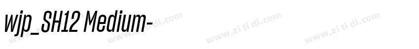 wjp_SH12 Medium字体转换 wjp_SH12 Medium字体转换